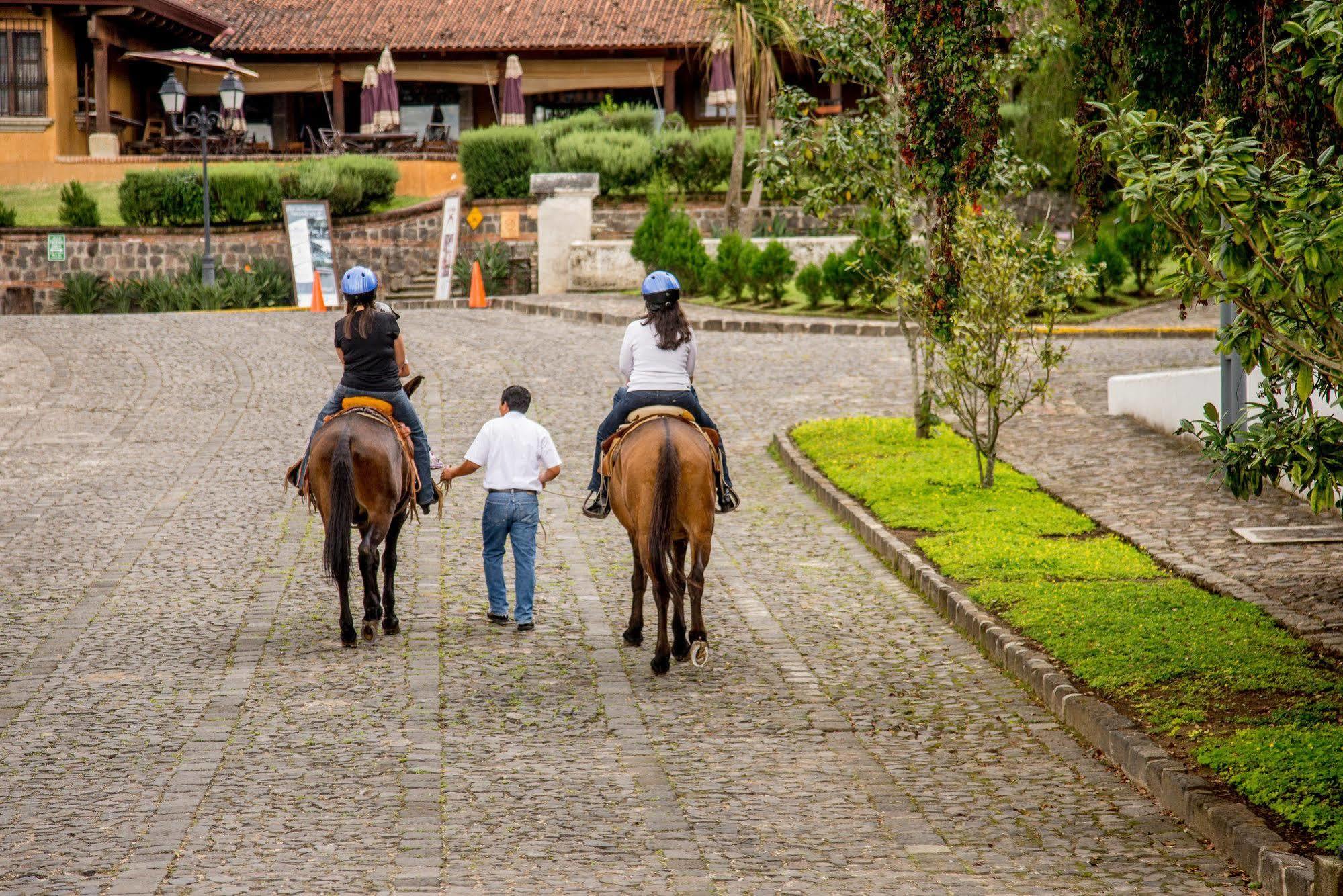 Filadelfia Coffee Resort & Tour Jocotenango Extérieur photo